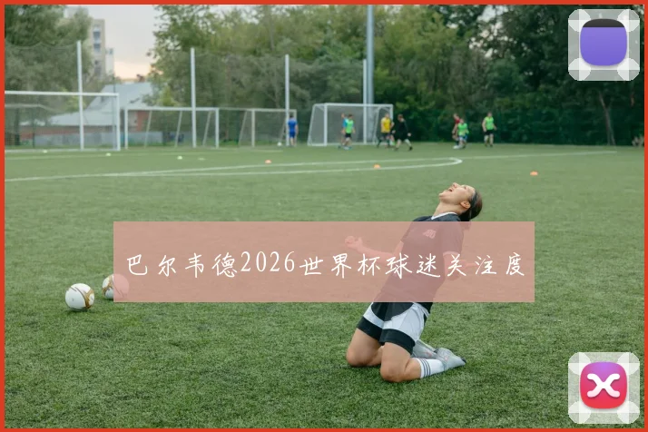 巴尔韦德2026世界杯球迷关注度