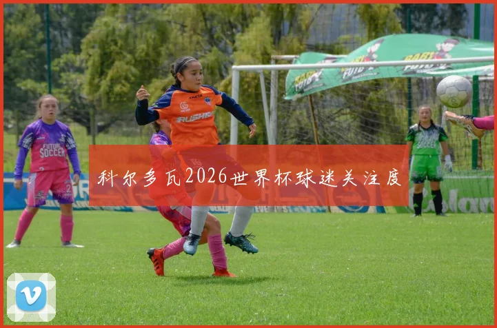 科尔多瓦2026世界杯球迷关注度