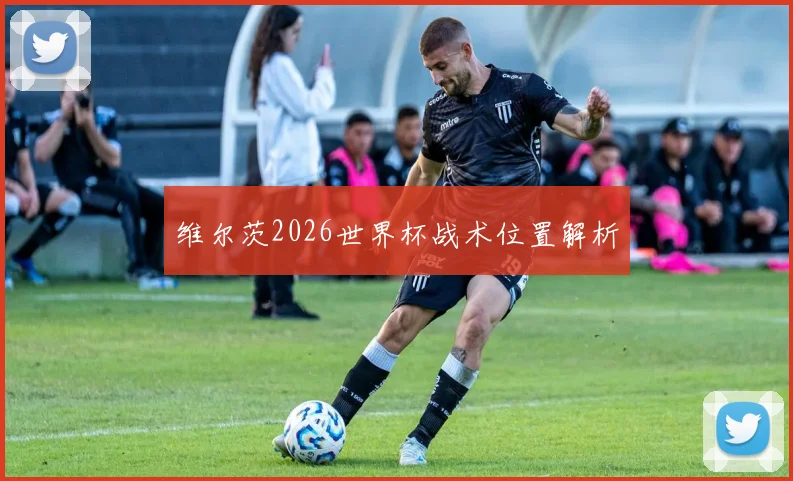 维尔茨2026世界杯战术位置解析
