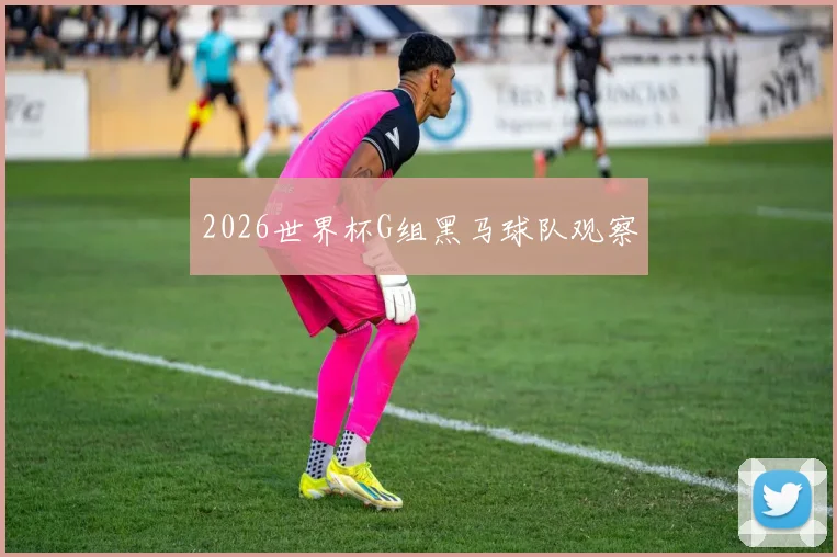 2026世界杯G组黑马球队观察