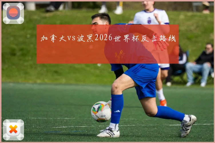 加拿大vs波黑2026世界杯反击路线