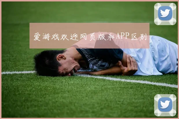 爱游戏欢迎网页版和APP区别